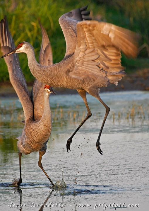 2009-01-04 17-27-18__MG_0052.JPG